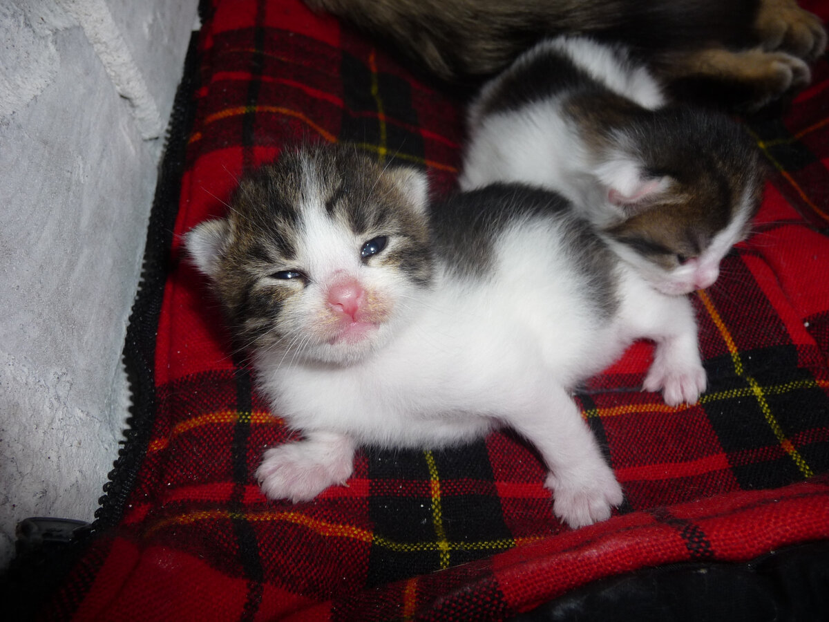 Маруся в детстве.