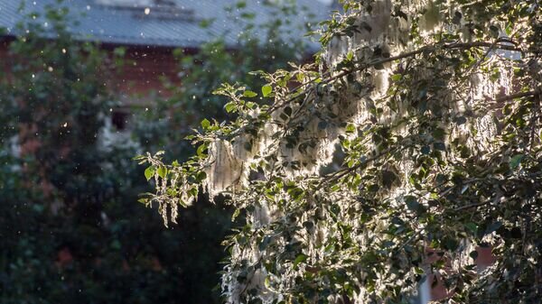    © photo: Sputnik / Alexey Mal'gavko