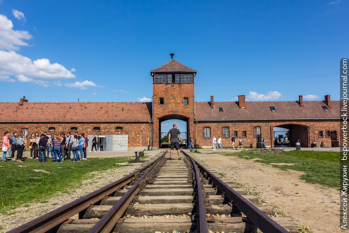 Источник https://ic.pics.livejournal.com/bepowerback/76977204/1911202/1911202_original.jpg