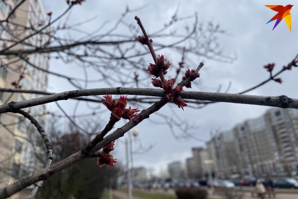     Саввин день отмечают 29 марта - собрали приметы и заперты. Фото: архив «КП»