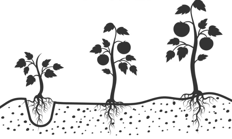 Фото VectorStock 