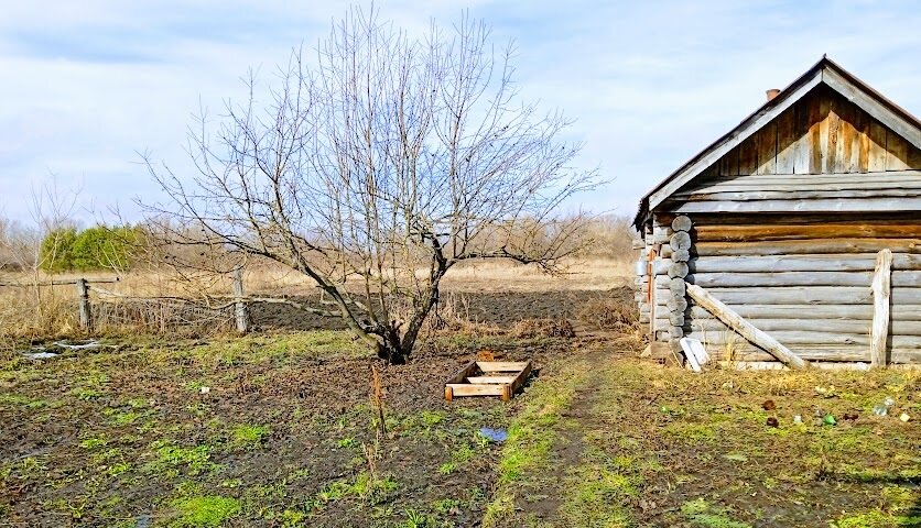 Наша маленькая банька... Остатки старого дивана ни к месту... Уборка на чердаке над баней 😊