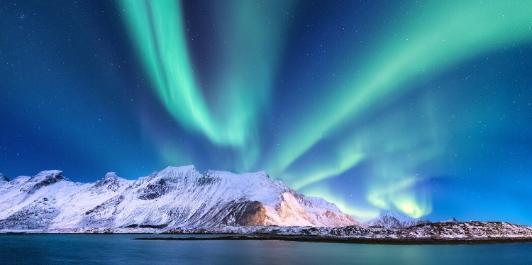 Что изучает концепция современного естествознания?