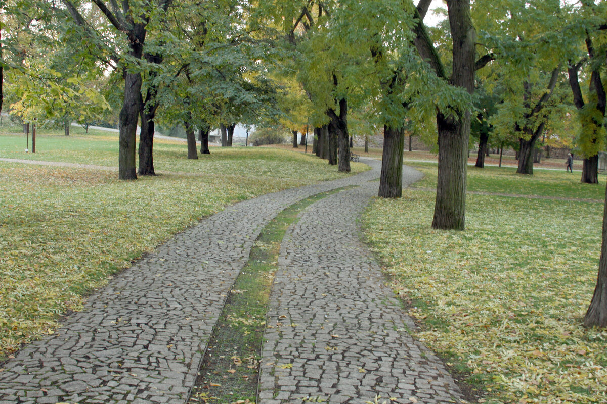 Не все дороги дороги бывают прямыми. Фото автора. (Прага. Вышеград)