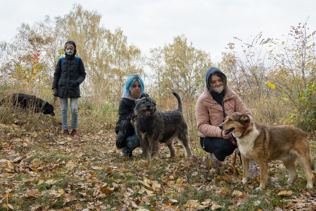 Зооволотёры. Фото: соцсети фонда помощи животным "РЭЙ"