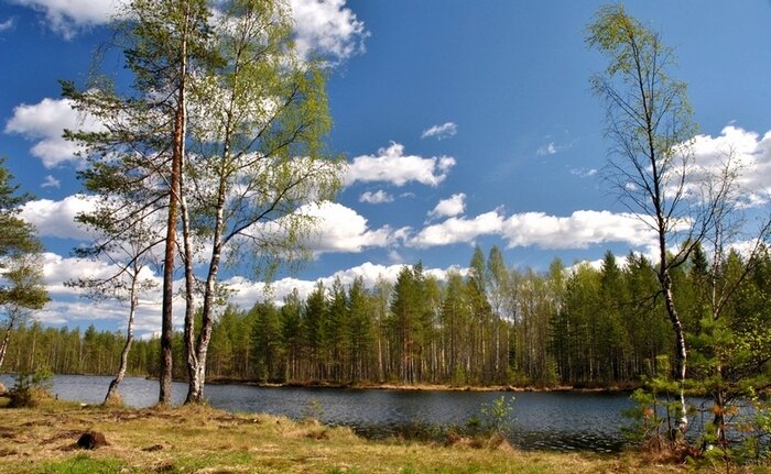 Прионежский заповедник