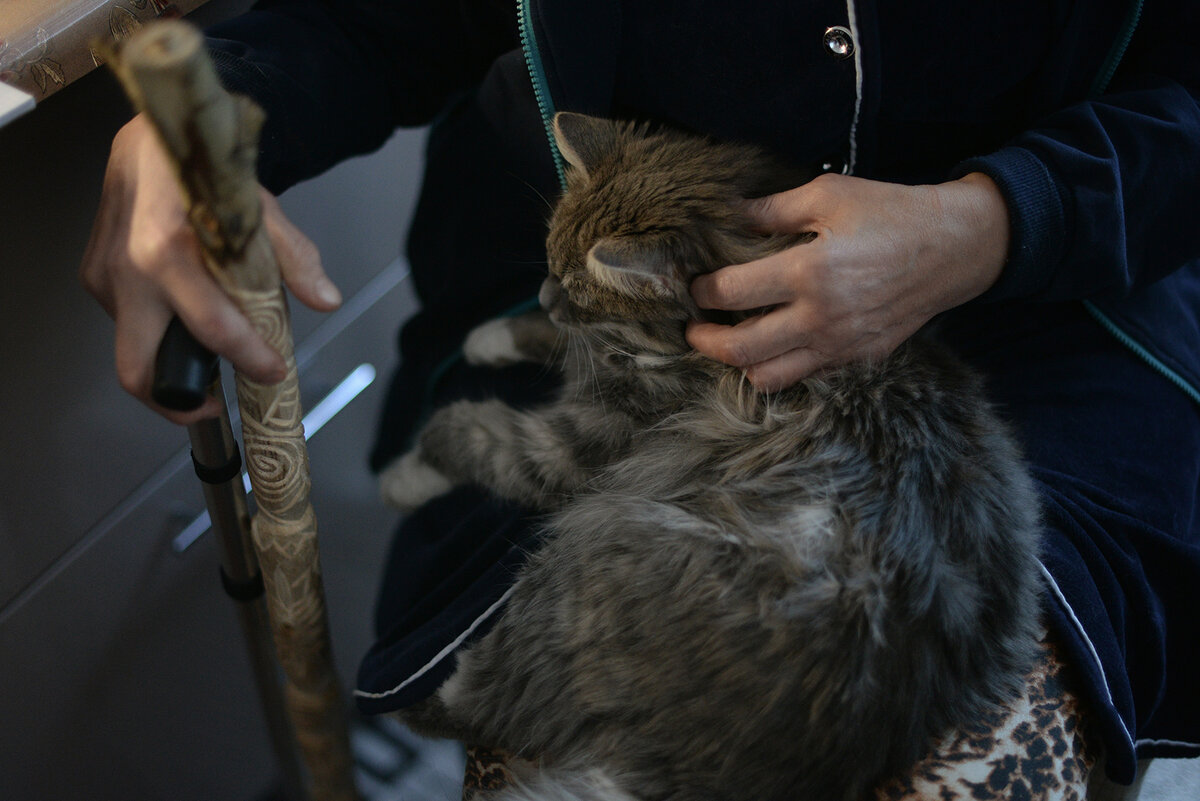 Ольга Александровна всегда носит с собой две трости — неудобную медицинскую и сделанную вручную из ветки дерева. С одной ей тяжело держать равновесие. На коленях у героини кот Васенька Фото: Дарья Пянзина для ТД