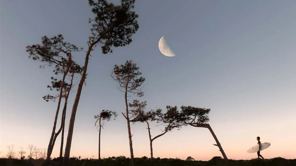 Фото: pexels.com