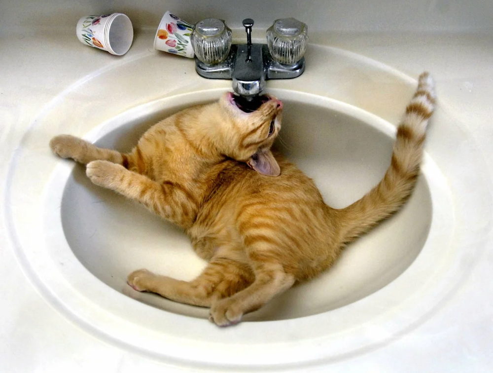 Источник: https://ru.pinterest.com/pin/376261743869732226/