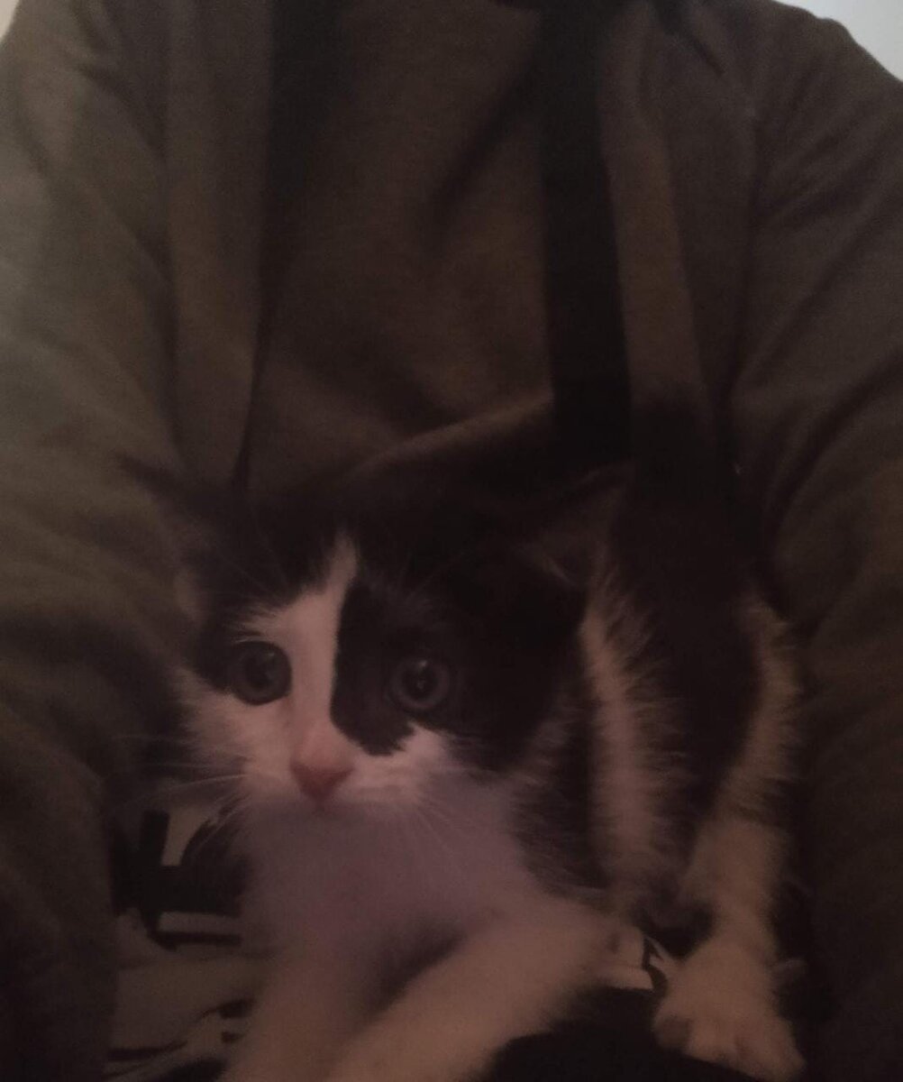 Нам что-то страшно стало.