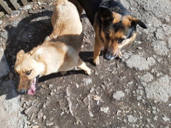     Фото: Евгений Кузнецов, архив