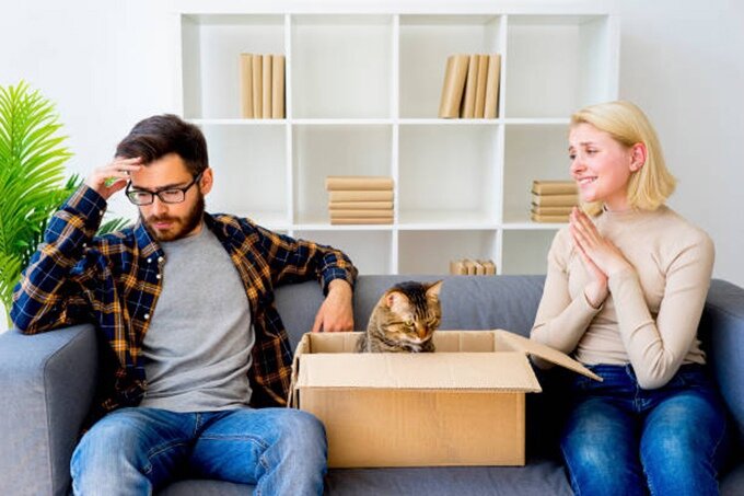 фото: из интернет-ресурса