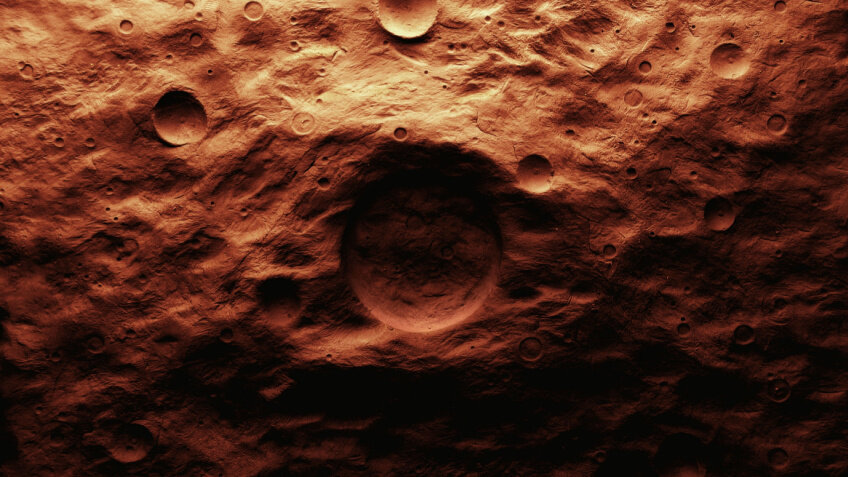    Фото: Shutterstock