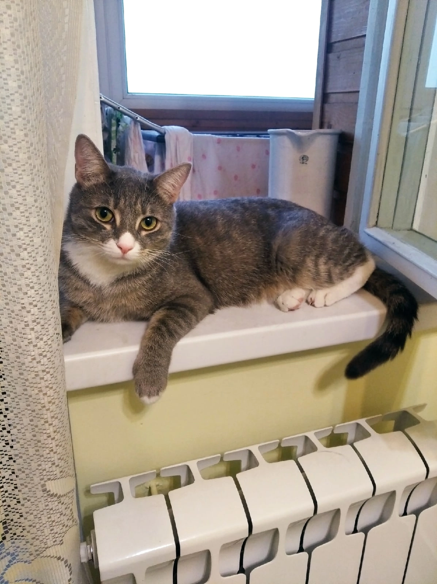 Вот таким Котя вырос