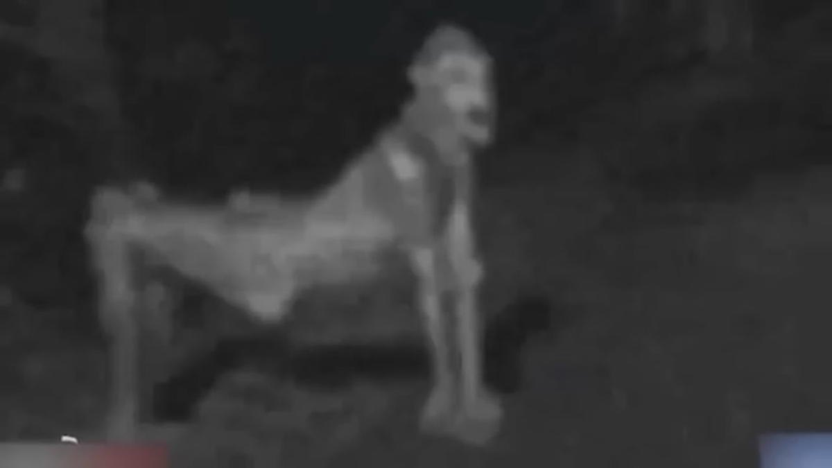 Granja skinwalker