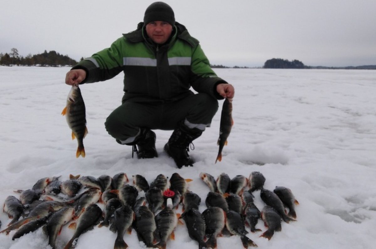 рыбанутые в томской