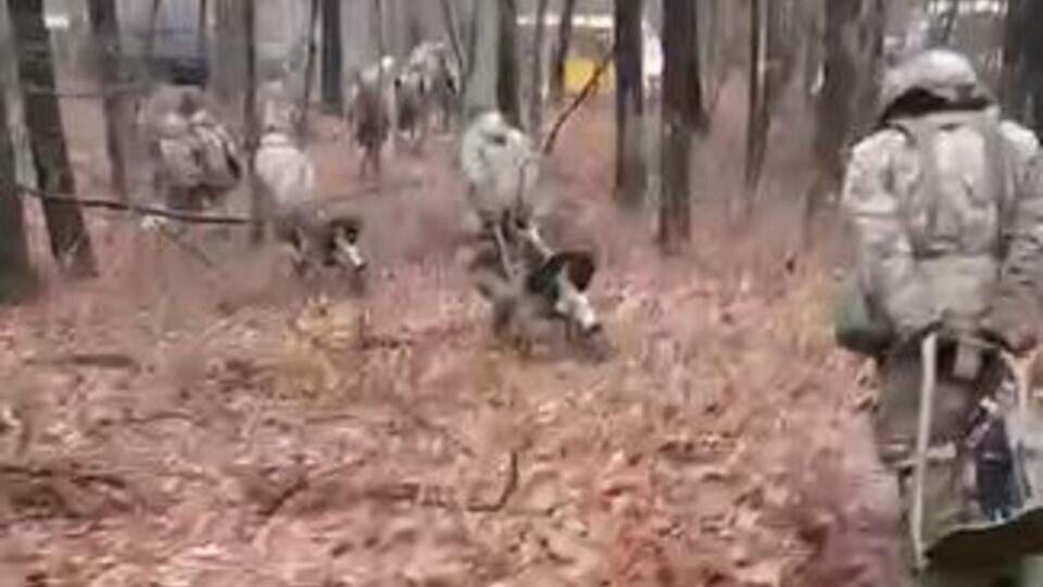     Помощь НАТО: боевиков ВСУ с пулеметами "Максим" сняли на видео