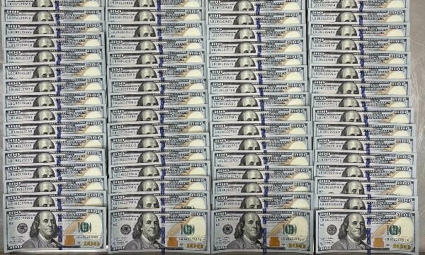 Фото: пресс-служба Шереметьевской таможни