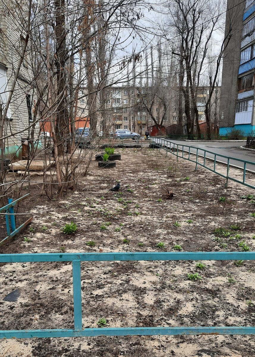 Торец нашего дома