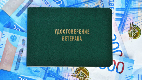    В Госдуме приняли законопроект о приравнивании переживших осаду Сталинграда к ветеранам Екатерина Щербакова