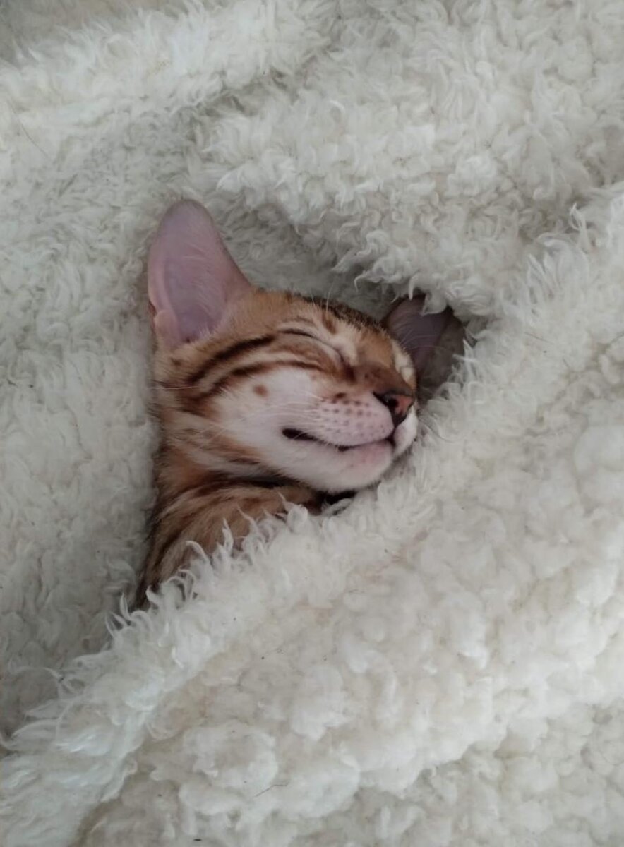 Вот такая Карамелька