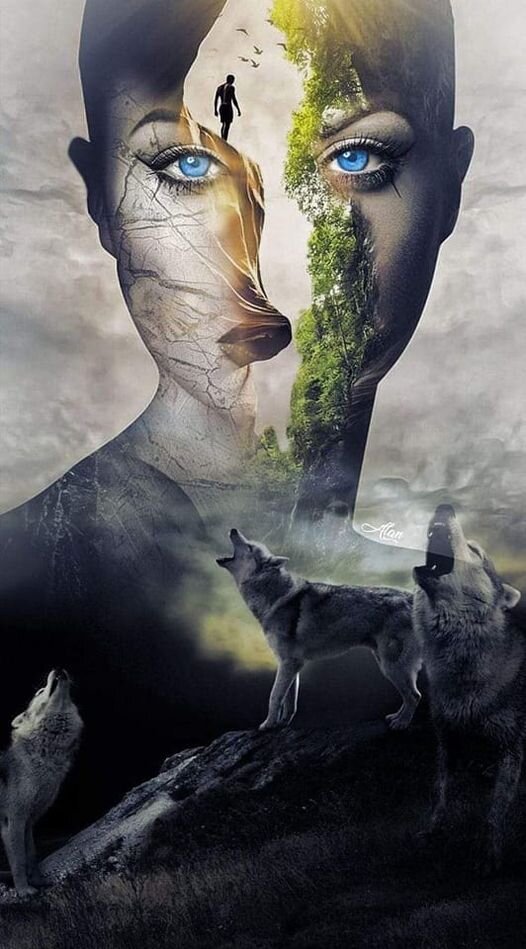 фото из сети