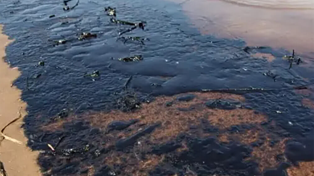 Фото разлитого мазута в черном море Реку в Ленобласти загрязнили нефтепродуктами НИА Экология Дзен