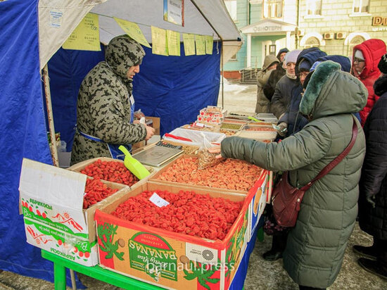     barnaul.org