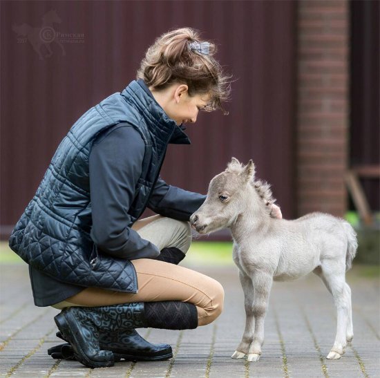 Елена чистякова фото