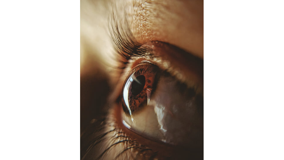    Фото: umesh soni / unsplash.com