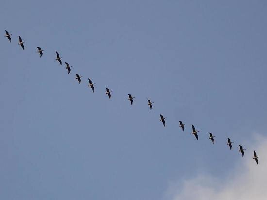     Фото: pixabay.com