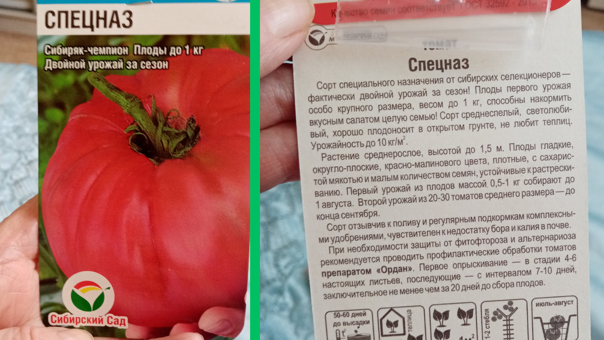 Томат Непасынкующийся Гигант (УД) 20 шт. цв.п. купить семена по каталогу почтой,