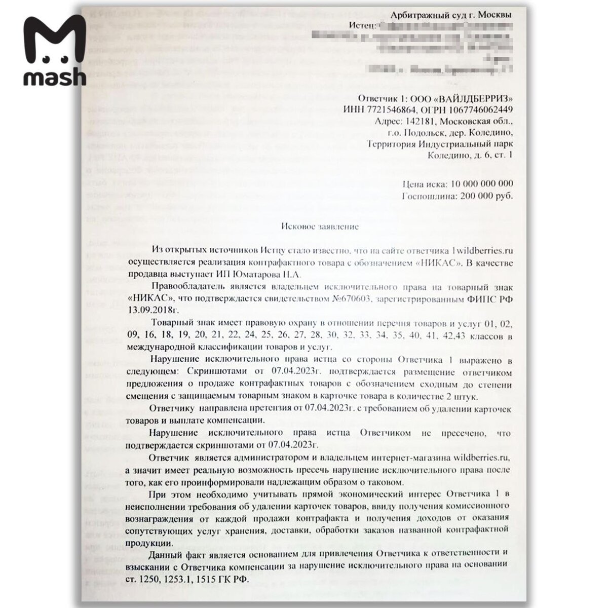    Копия иска Сафронова против Wildberries Фото: телеграм-канал Mash