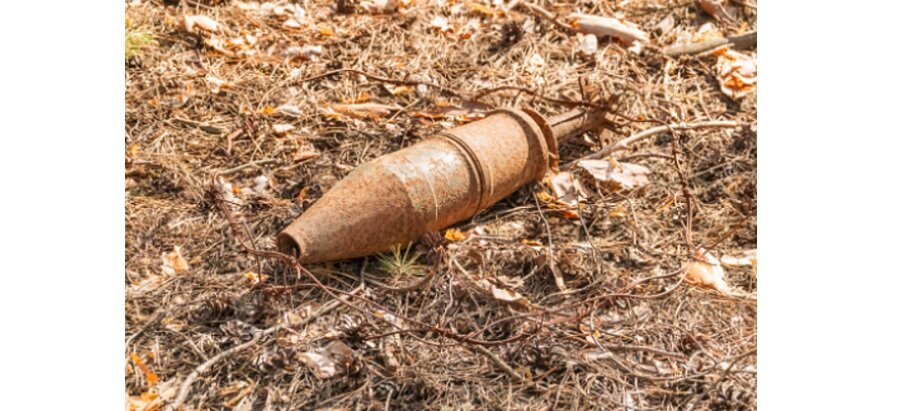 Фото: pixabay.com