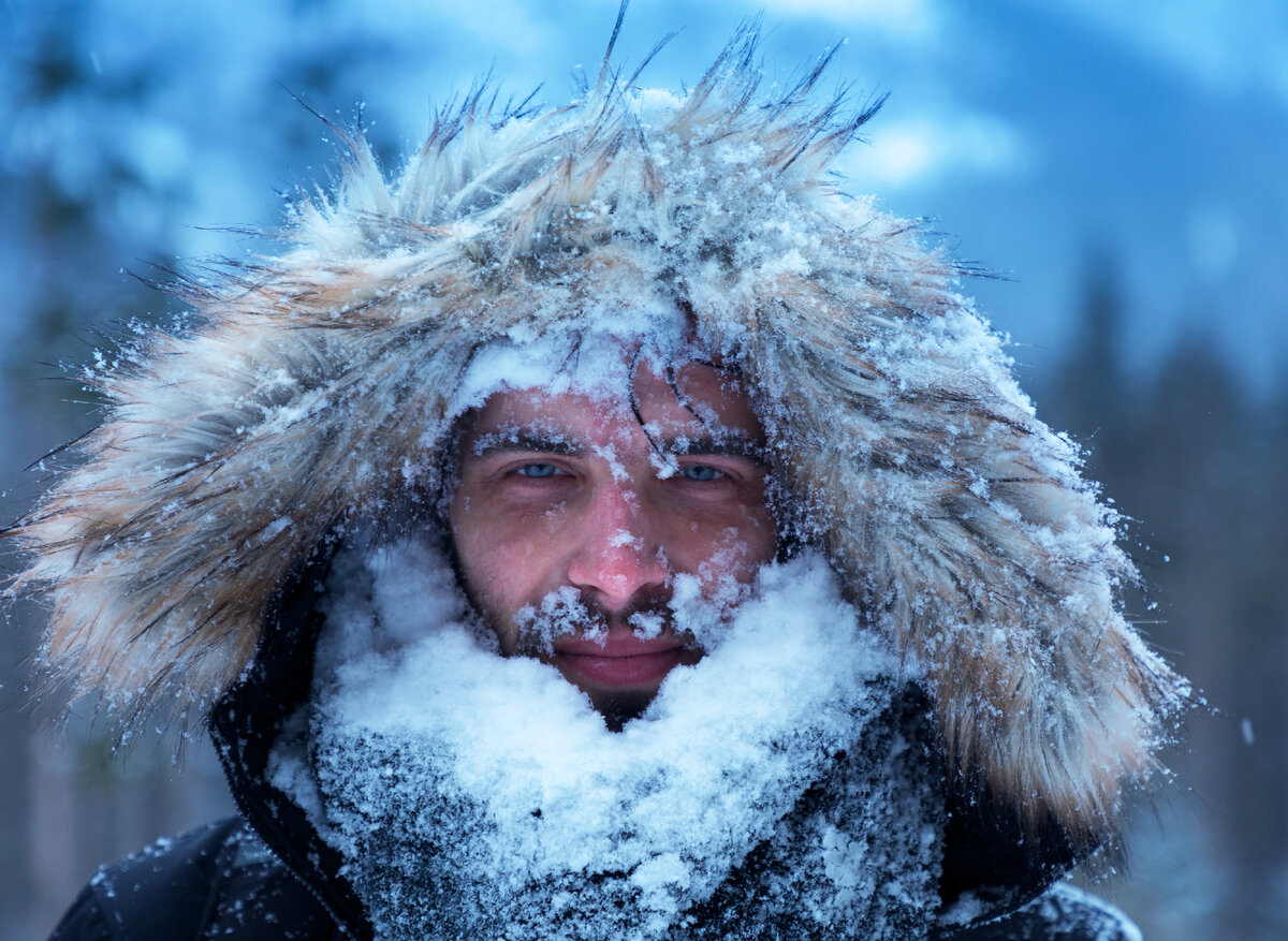 Почему на севере и востоке России зима переносится легче? -20ºC в Якутске и  -10ºС в Москве одинаковы? Объясняю просто | МИР НАУКИ: интересное вокруг |  Дзен