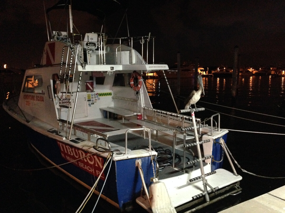 из личного архива