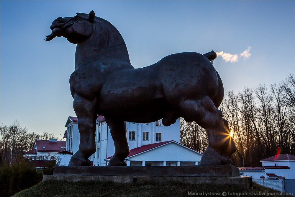 Конь воронеж фото
