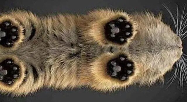 Фото: Джонса из открытого источника