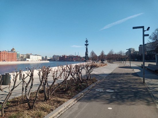     Фото: МК в Туле