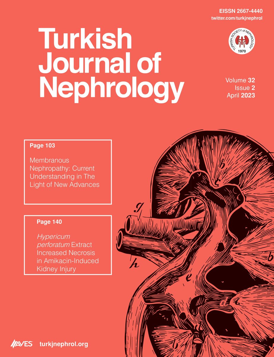 Turkish journal. Журнал true Nephrology.