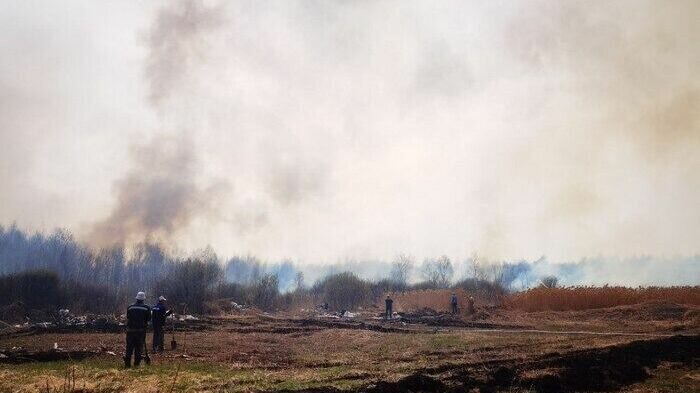     В Тюменской области задержали трех виновников ландшафтных пожаров, произошедших на территории региона с начала пожароопасного сезона. Двое из них привлечены к административной ответственности и выплате штрафа в размере 10 тысяч рублей.