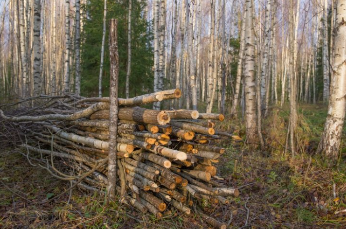 Можно ли жечь фотографии живых людей