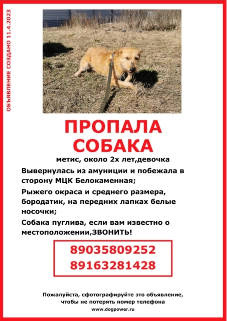 UPD: Нашлась

Москва и МО
Потерялась собака! Пожалуйста, репост!  Убежала Флаффи! #redpine_flaffy
11.