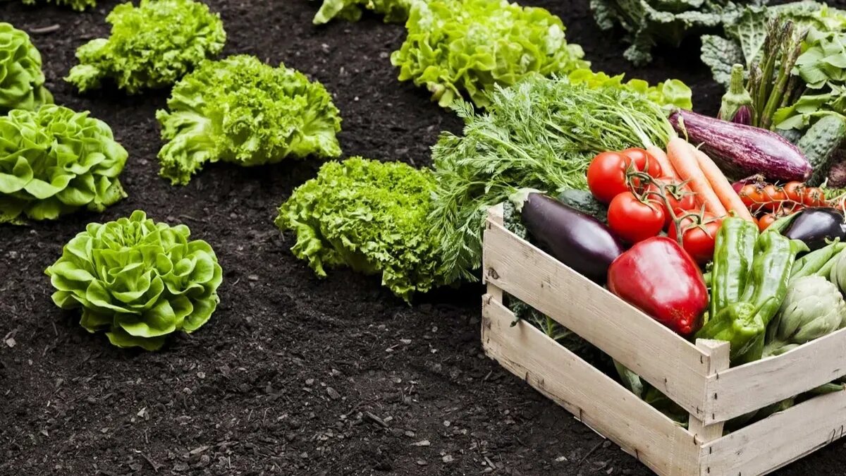 Недели до и после Пасхи обладают своими ограничениями. Фото: pxhere.com