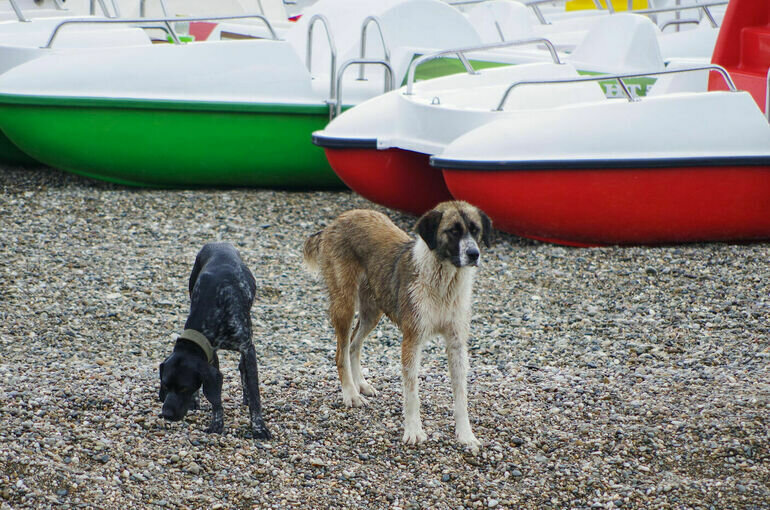  Игорь Самохвалов/ПГ