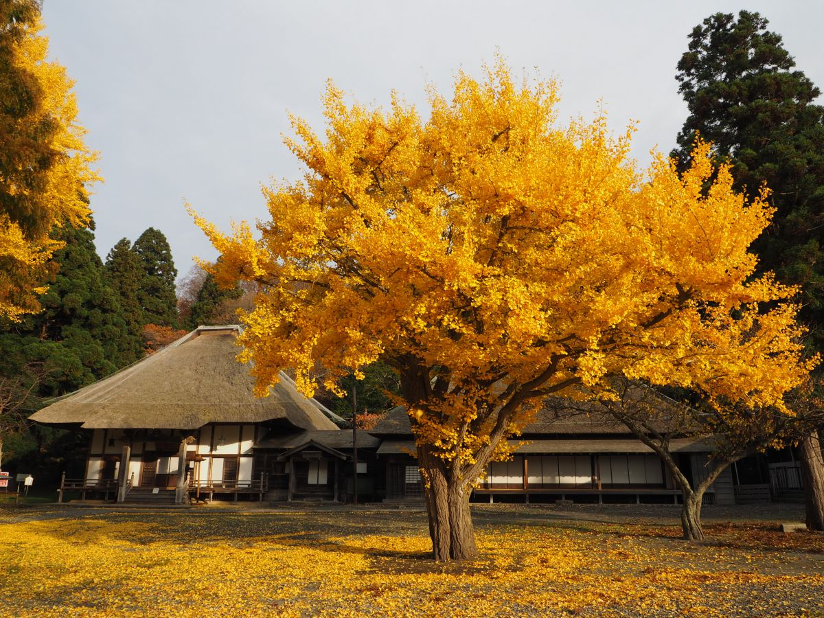 Храм Дзэнкодзи в Усу (г. Датэ). Источник: https://ganref.jp/m/kuronekopiano/portfolios/photo_detail/2251297