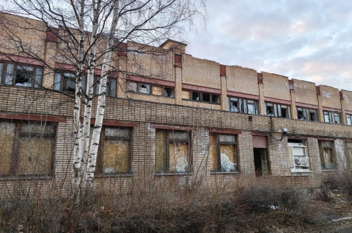    В Петрозаводске дети в крови выпрыгивали из заброшенного здания