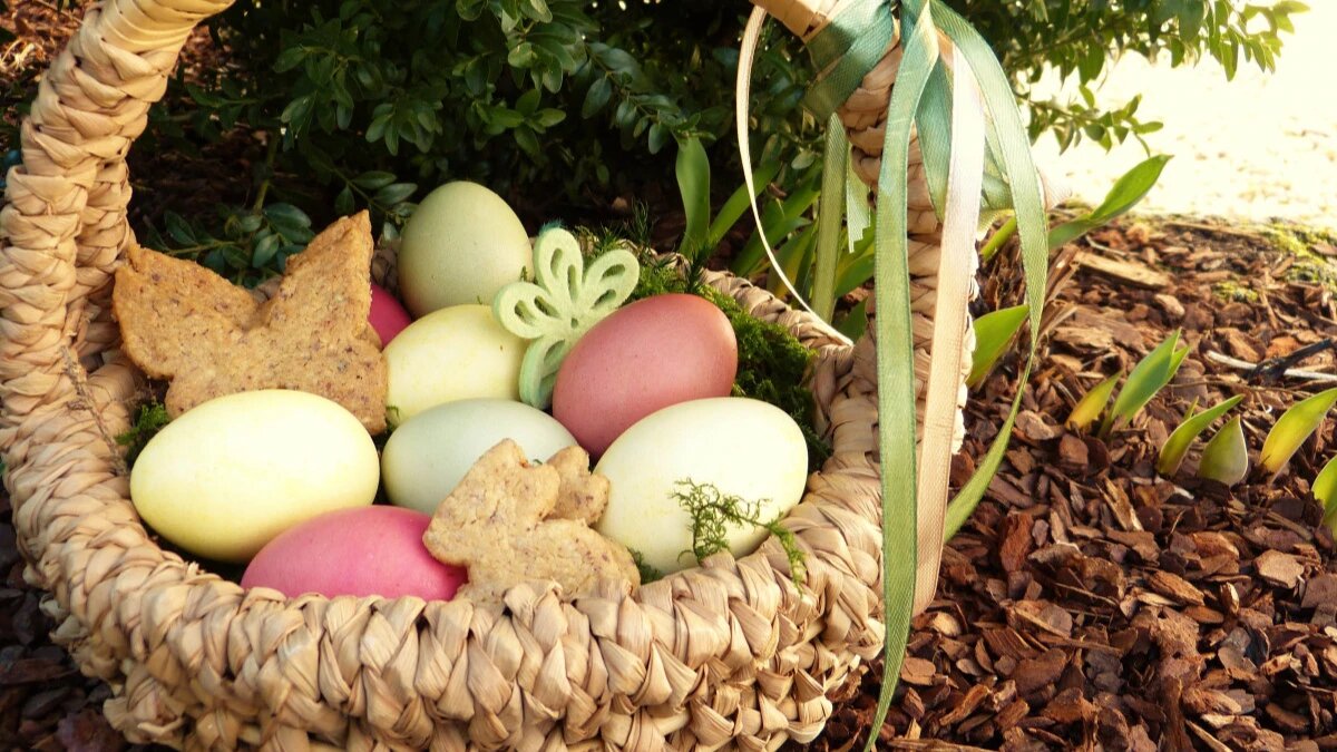 Фото: pxhere.com