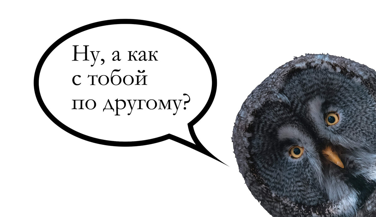 а,действительно, как?