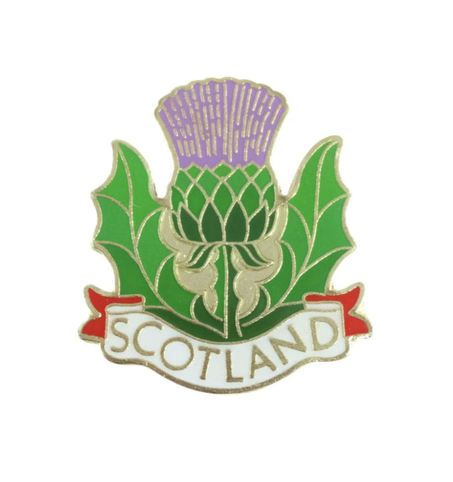 Национальный символ Шотландии чертополох. Эмблема Шотландии чертополох. Национальная эмблема Шотландии. Национальный цветок Шотландии чертополох.